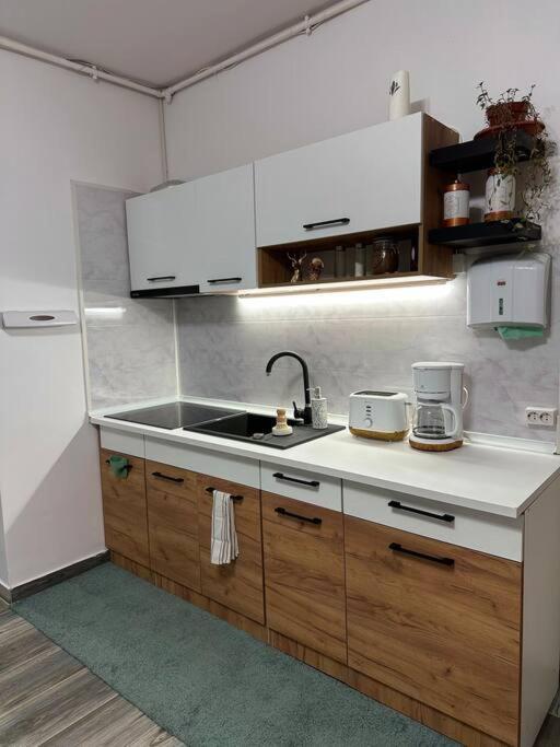 Zion Home Sibiu Exteriér fotografie