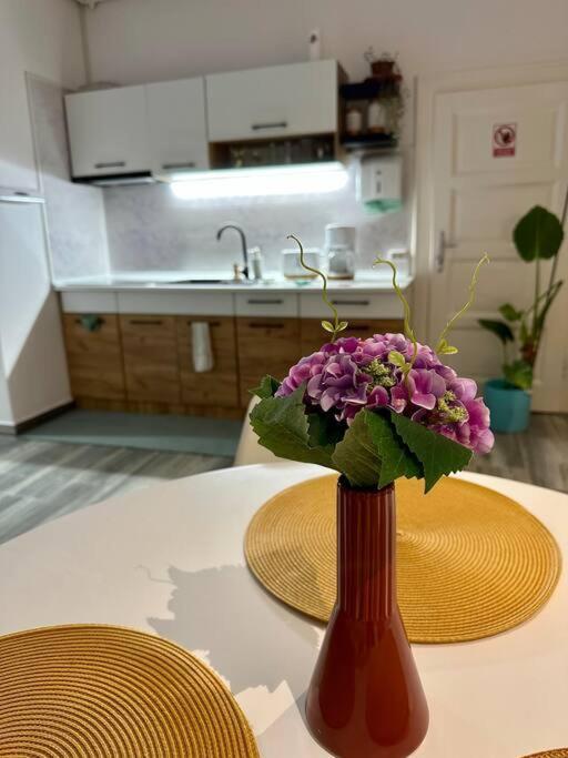 Zion Home Sibiu Exteriér fotografie