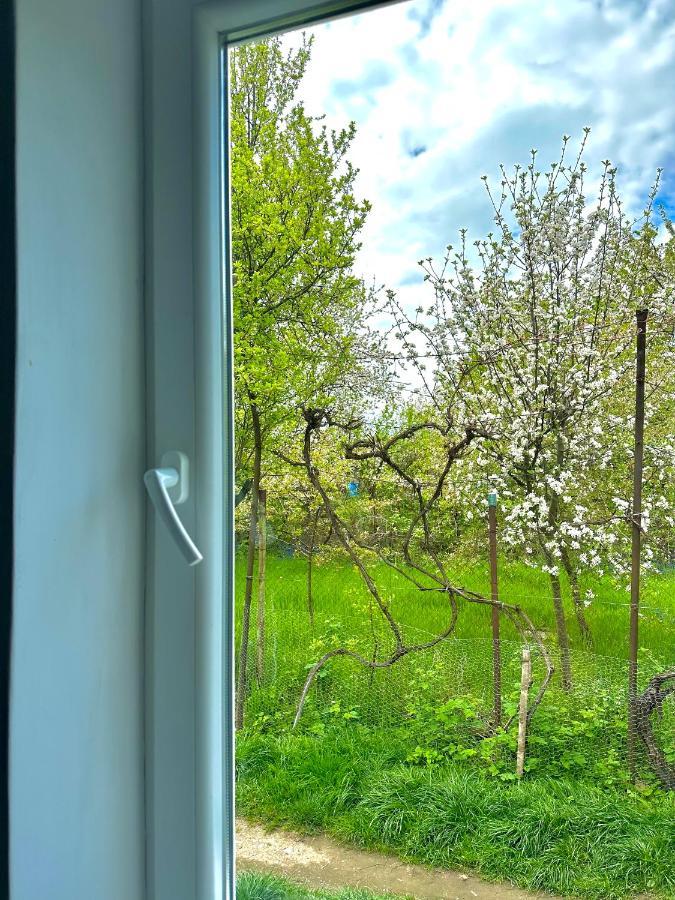 Zion Home Sibiu Exteriér fotografie